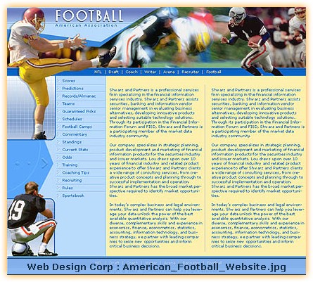 American_Football_Website.jpg